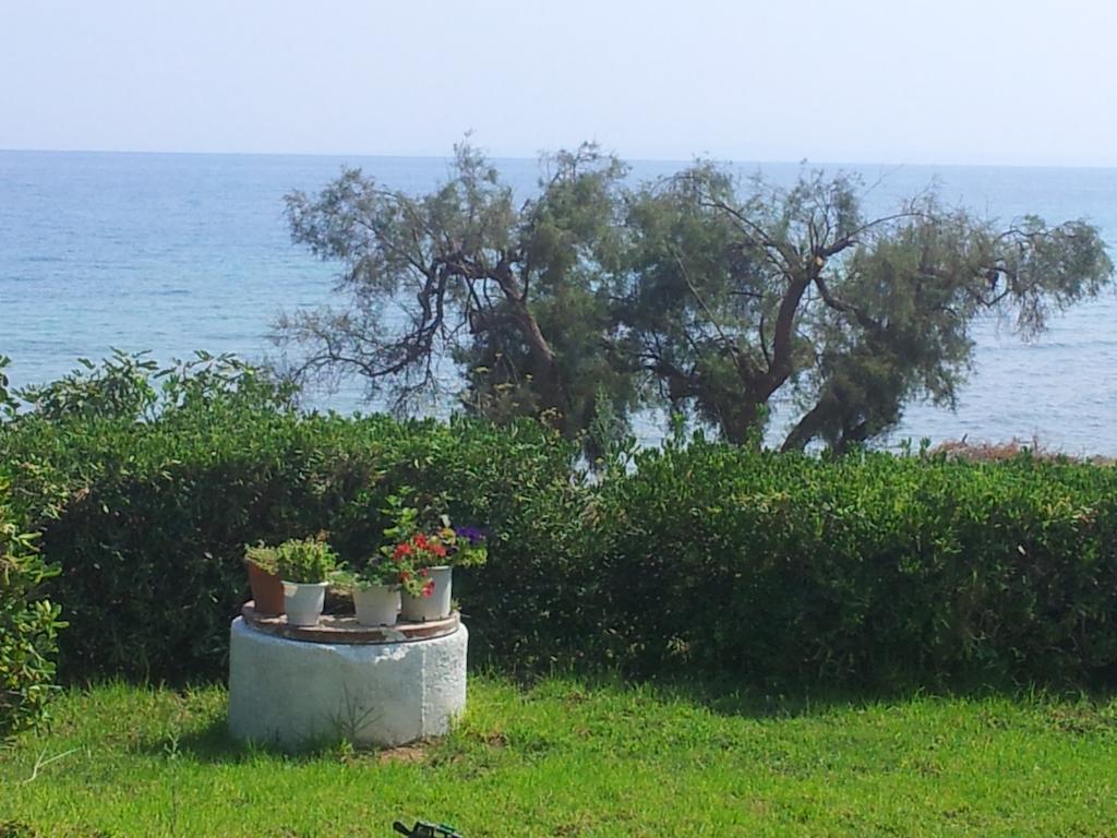 Beach Bungalows Kypseli Room photo